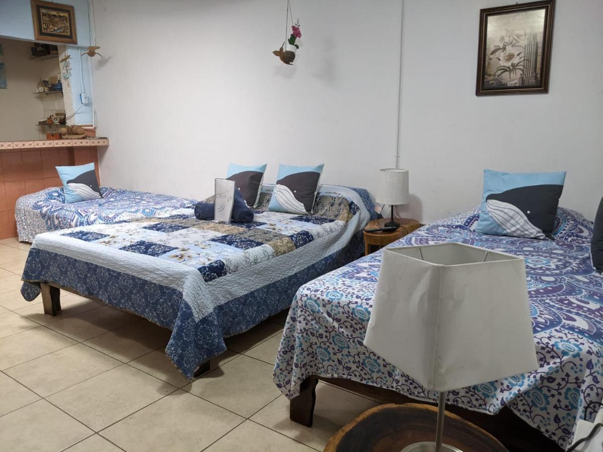 Guesthouse Casa Lapa2 Alajuela Kültér fotó