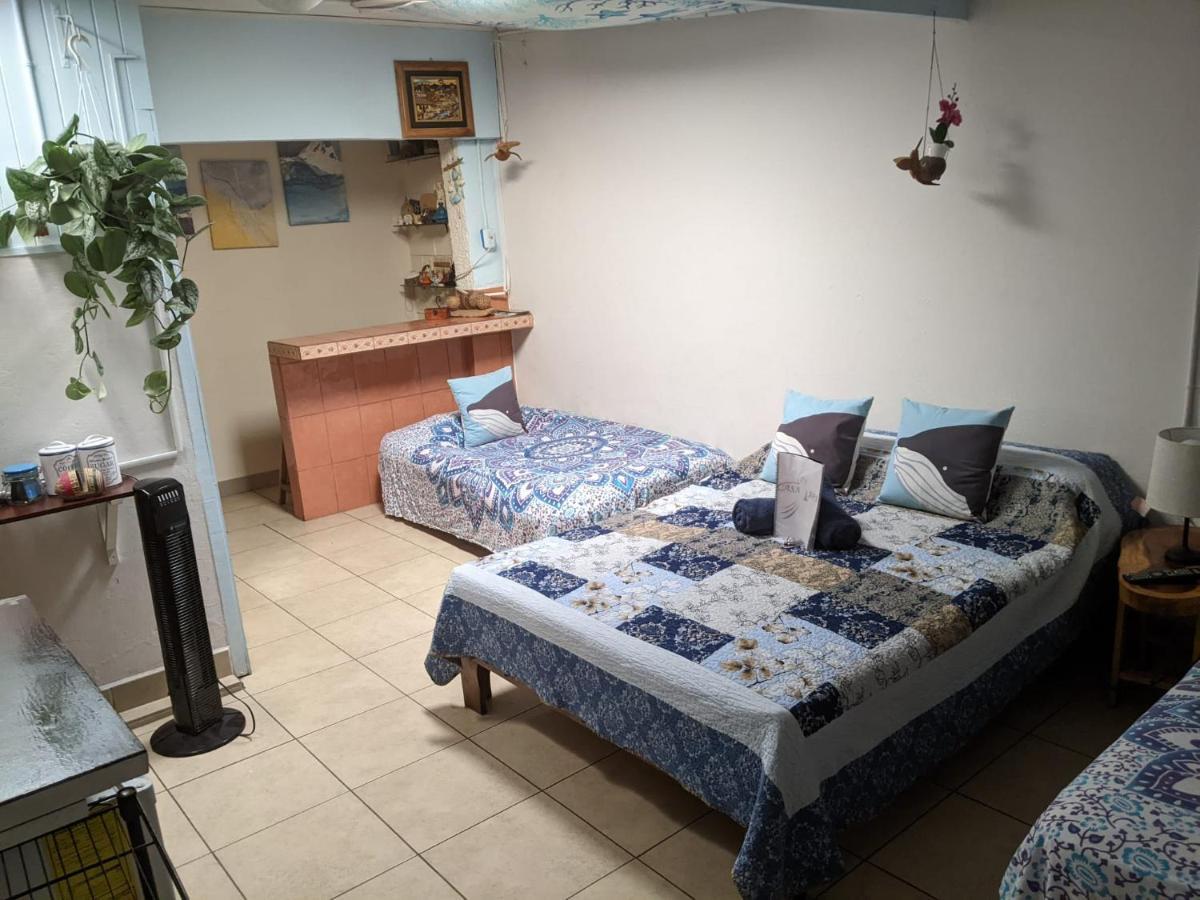 Guesthouse Casa Lapa2 Alajuela Kültér fotó