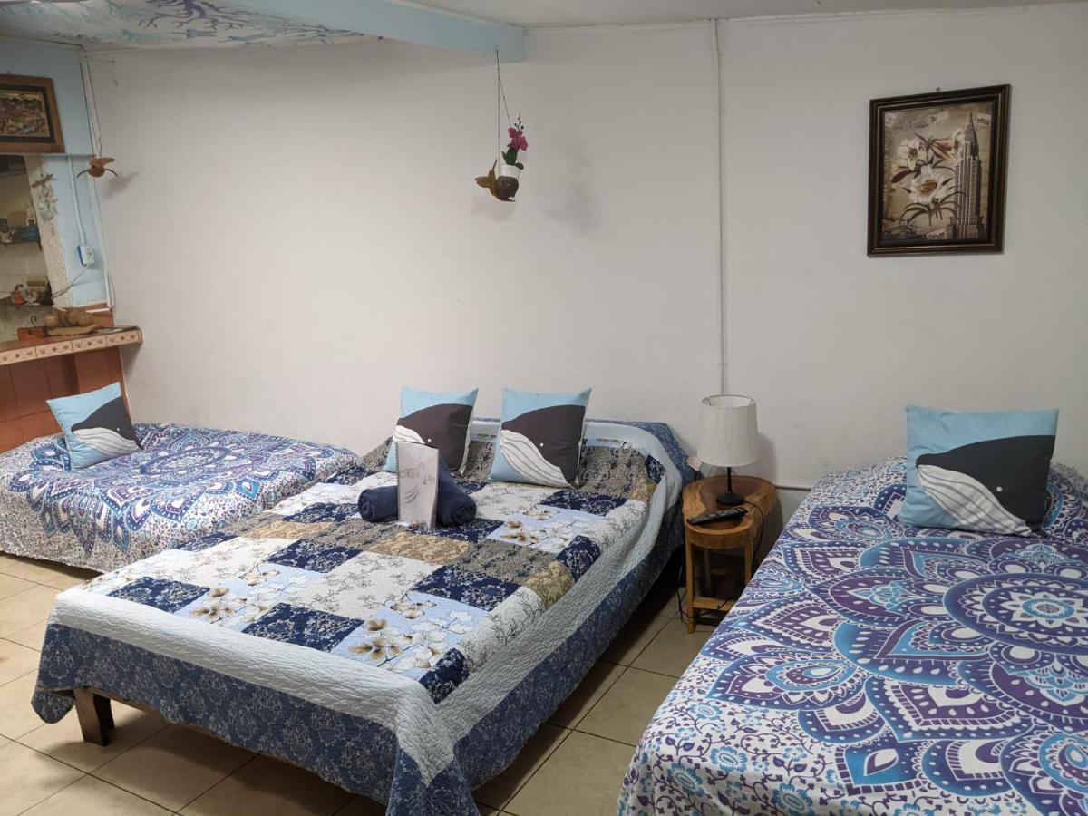 Guesthouse Casa Lapa2 Alajuela Kültér fotó