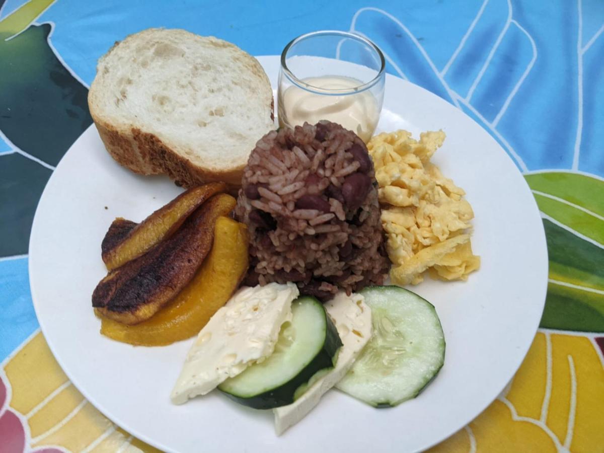 Guesthouse Casa Lapa2 Alajuela Kültér fotó
